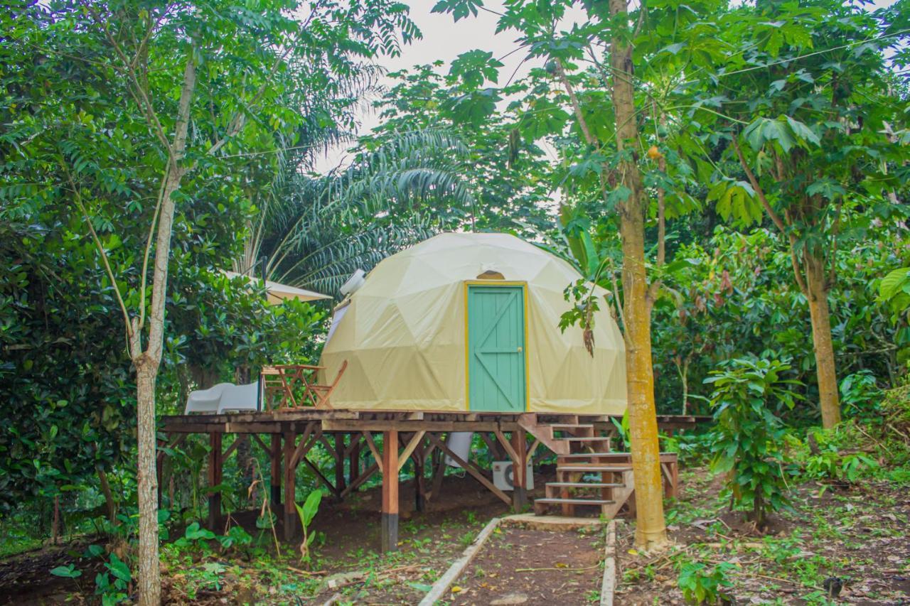 Eden Valley Ecolodge And Farming Madalena Exterior photo