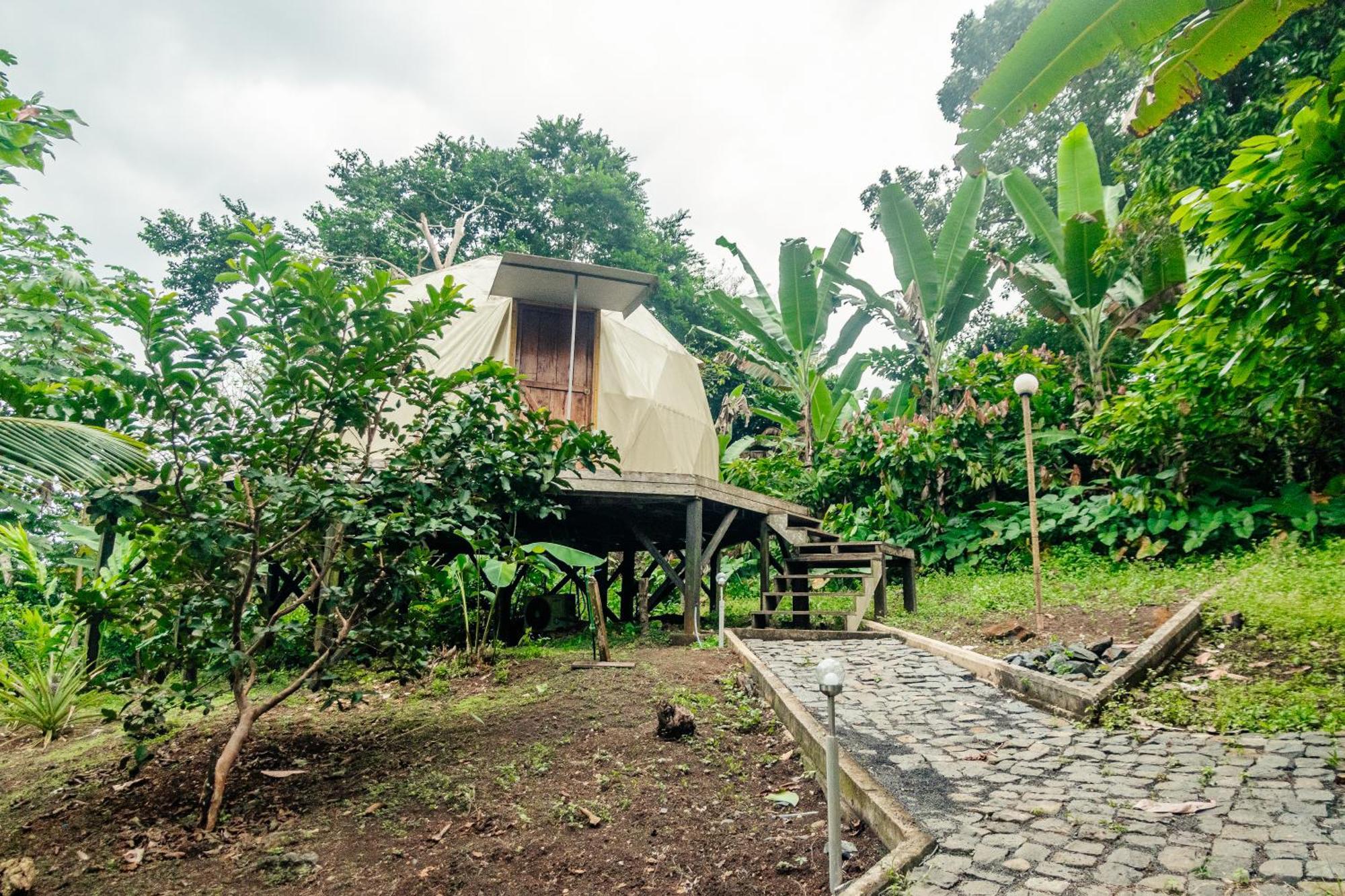 Eden Valley Ecolodge And Farming Madalena Exterior photo